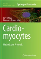 C Ferran, C Ferran, Maureen C Ferran, Maureen C. Ferran, Gar R Skuse, Gary R Skuse... - Cardiomyocytes