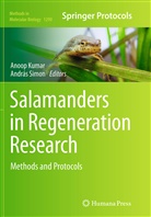 Anoo Kumar, Anoop Kumar, Simon, Simon, Andras Simon, András Simon - Salamanders in Regeneration Research