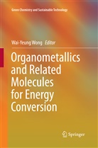 Wai-Yeun Wong, Wai-Yeung Wong - Organometallics and Related Molecules for Energy Conversion