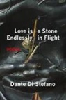 Dante Di Stefano - Love Is a Stone Endlessly in Flight