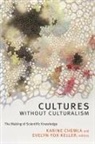 Karine (EDT)/ Keller Chemla, Karine Keller Chemla, Karine Chemla, Evelyn Fox Keller - Cultures Without Culturalism
