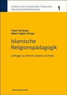 Aygün, Aygün, Adem Aygün, Yasa Sarikaya, Yasar Sarikaya - Islamische Religionspädagogik
