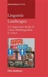 Peter Backhaus - Linguistic Landscapes