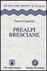 Fausto Camerini - Prealpi bresciane