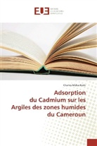 Charles Melea Kede - Adsorption du Cadmium sur les Argiles des zones humides du Cameroun