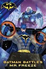 Laurie Sutton, Laurie S. Sutton - Batman Battles Mr. Freeze