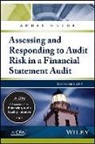 AICPA - Audit Guide