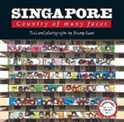Jimmy Lam, Jimmy Lam - Singapore: Country of Many Faces