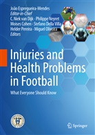 Moises Cohen, Moises Cohen et al, Stefano Della Villa, C. Niek Van Dijk, João Espregueira-Mendes, Philipp Neyret... - Injuries and Health Problems in Football
