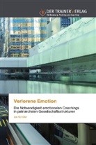Joe Schäfer - Verlorene Emotion