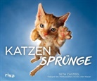 Seth Casteel - Katzensprünge