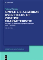Helmut Strade - Simple Lie Algebras over Fields of Positive Characteristic - Volume 2: Classifying the Absolute Toral Rank Two Case
