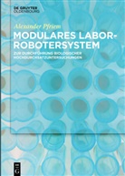 Alexander Pfriem - Modulares Laborrobotersystem