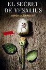 Jordi Llobregat Mateu - El secret de Vesalius