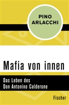 Pino Arlacchi - Mafia von innen