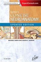 Michael A. Rubin, Michael Rubin, Michael (Associate Professor Rubin, Michael (Professor of Clinical Neurology Rubin, Michael A. Rubin, Joseph E. Safdieh... - Netter's Concise Neuroanatomy Updated Edition
