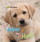 Camilla De La Bedoyere, Camilla de la Bédoyère, Camilla De La Bedoyere, Camilla de la Bédoyère - Vom Welpen zum Hund