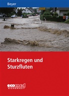 Ralf Beyer - Starkregen und Sturzfluten