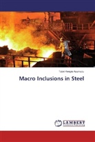 Tabiri Kwayie Asumadu - Macro Inclusions in Steel