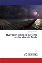Giuseppe Cassone - Hydrogen-bonded systems under electric fields