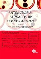 Kerry Laplante, Cheston Cunha, Kerry Laplante, Haley Morrill, Eleftherios Mylonakis, Louis Rice - Antimicrobial Stewardship