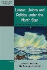 Mary (EDT)/ Neunsinger Hilson, Mary Neunsinger Hilson, Hilson Neunsinger Vyff, Mary Hilson, Hilson Mary, Silke Neunsinger... - Labour, Unions and Politics Under the North Star