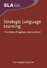Gao, Dr Xuesong Gao, Xuesong Gao, Xuesong (Andy) Gao - Strategic Language Learning