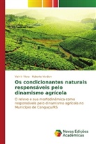 Roberto Verdum, Valmir Viera - Os condicionantes naturais responsáveis pelo dinamismo agrícola