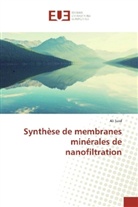 Ali Said - Synthèse de membranes minérales de nanofiltration