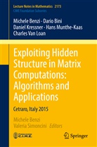Michel Benzi, Michele Benzi, Dari Bini, Dario Bini, Daniel Kressner, Daniel et al Kressner... - Exploiting Hidden Structure in Matrix Computations: Algorithms and Applications