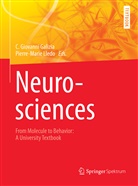 C. Giovanni Galizia, Giovanni Galizia, Giovanni Galizia, C Giovanni Galizia, Lledo, Lledo... - Neurosciences - From Molecule to Behavior: a university textbook
