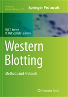 Hal Scofield, Hal Scofield, Biji T. Kurien, R. Hal Scofield, Bij T Kurien, Biji T Kurien - Western Blotting