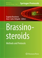 Ana I. Cano-Delgado, Ana I. Caño-Delgado, I Caño-Delgado, I Caño-Delgado, Eugeni Russinova, Eugenia Russinova - Brassinosteroids