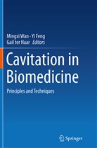 Y Feng, Yi Feng, Gail ter Haar, Gail ter Haar, Mingxi Wan - Cavitation in Biomedicine