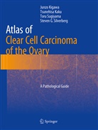 Tsunehis Kaku, Tsunehisa Kaku, Junz Kigawa, Junzo Kigawa, Steven G Silverberg, Toru Sugiyama... - Atlas of Clear Cell Carcinoma of the Ovary