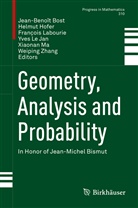 Jean-Benoît Bost, Helmu Hofer, Helmut Hofer, François Labourie, François Labourie et al, Yves Le Jan... - Geometry, Analysis and Probability