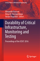 Elen B Cherepetskaya, Elena B Cherepetskaya, Elena B. Cherepetskaya, Alexander Kravcov, Alexandr Kravcov, Vaclav Pospichal - Durability of Critical Infrastructure, Monitoring and Testing