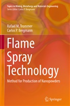 Carlos P Bergmann, Carlos P. Bergmann, Rafael Trommer, Rafael M Trommer, Rafael M. Trommer - Flame Spray Technology