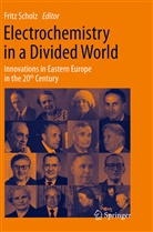 Frit Scholz, Fritz Scholz - Electrochemistry in a Divided World