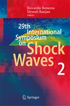 Riccard Bonazza, Riccardo Bonazza, Ranjan, Ranjan, Devesh Ranjan - 29th International Symposium  on Shock Waves 2