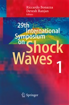 Riccard Bonazza, Riccardo Bonazza, Ranjan, Ranjan, Devesh Ranjan - 29th International Symposium  on Shock Waves 1