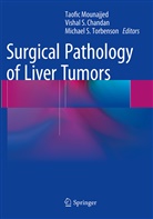 Vishal S Chandan, Vishal S. Chandan, Taofic Mounajjed, Visha S Chandan, Vishal S Chandan, Michael S Torbenson... - Surgical Pathology of Liver Tumors