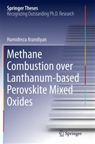 Hamidreza Arandiyan - Methane Combustion over Lanthanum-based Perovskite Mixed Oxides