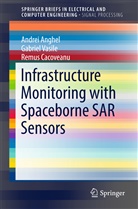 ANDRE ANGHEL, Andrei Anghel, Remus Cacoveanu, GABRIE VASILE, Gabriel Vasile - Infrastructure Monitoring with Spaceborne SAR Sensors