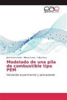 Alfred Iranzo, Alfredo Iranzo, Felipe Rosa, José Antoni Salva, José Antonio Salva - Modelado de una pila de combustible tipo PEM
