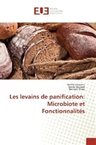 Xavie Dousset, Xavier Dousset, Emili Lhomme, Emilie Lhomme, Bernard Onno - Les levains de panification: Microbiote et Fonctionnalités