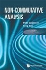 Palle Jorgensen, Palle Jorgensen &amp; Feng Tian, Feng Tian - NON-COMMUTATIVE ANALYSIS