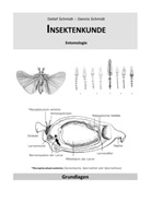 Detlef Schmidt - Insektenkunde