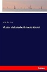 Julius Lessing - Muster altdeutscher Leinenstickerei