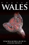 Miranda Aldhouse Green, Miranda Aldhouse-Green, Miranda Howell Aldhouse-Green, Aldhouse-Green Miranda, Miranda Aldho Green, Ray Howell... - Celtic Wales